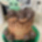 yoda smash.jpg
